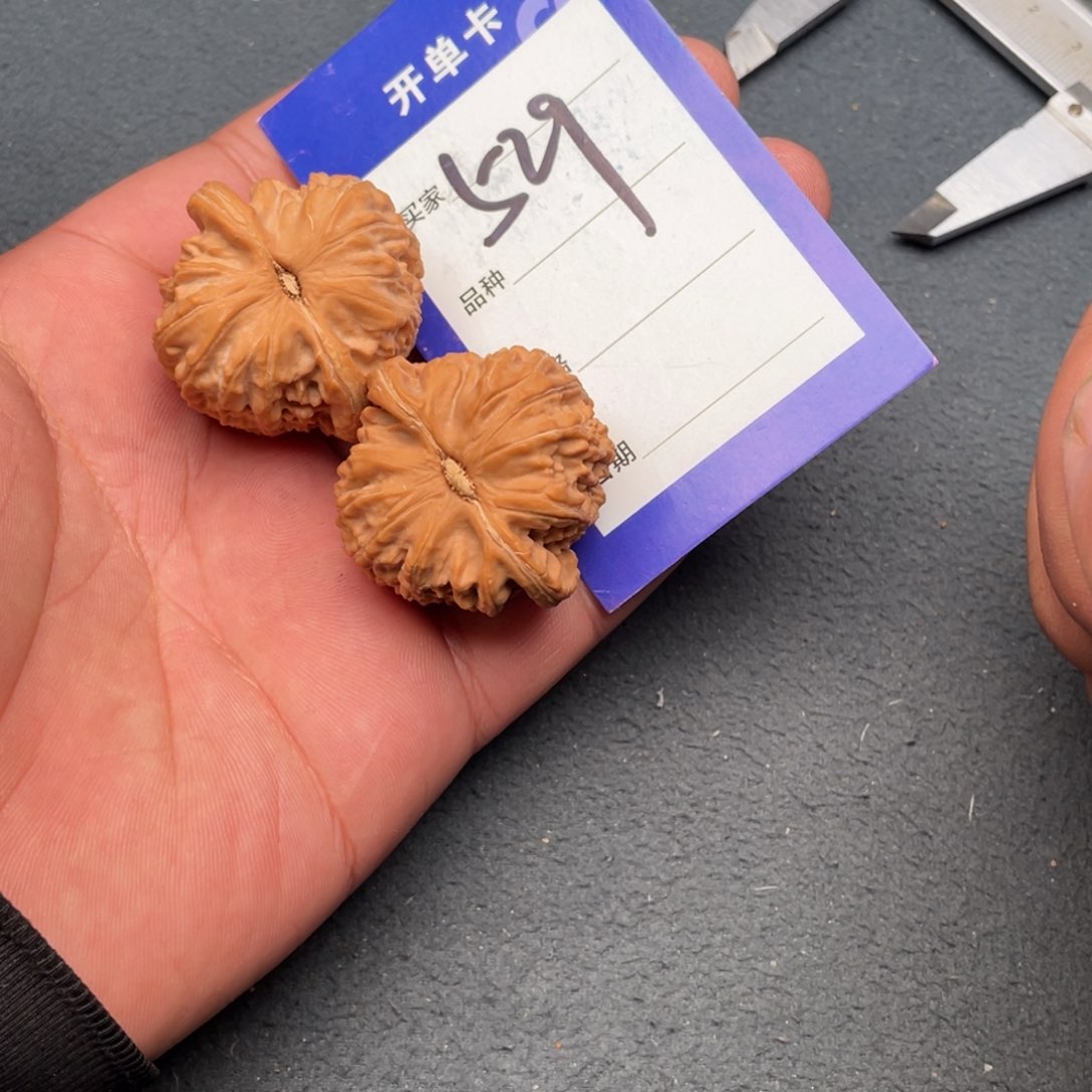 核桃把件37白狮子，529号