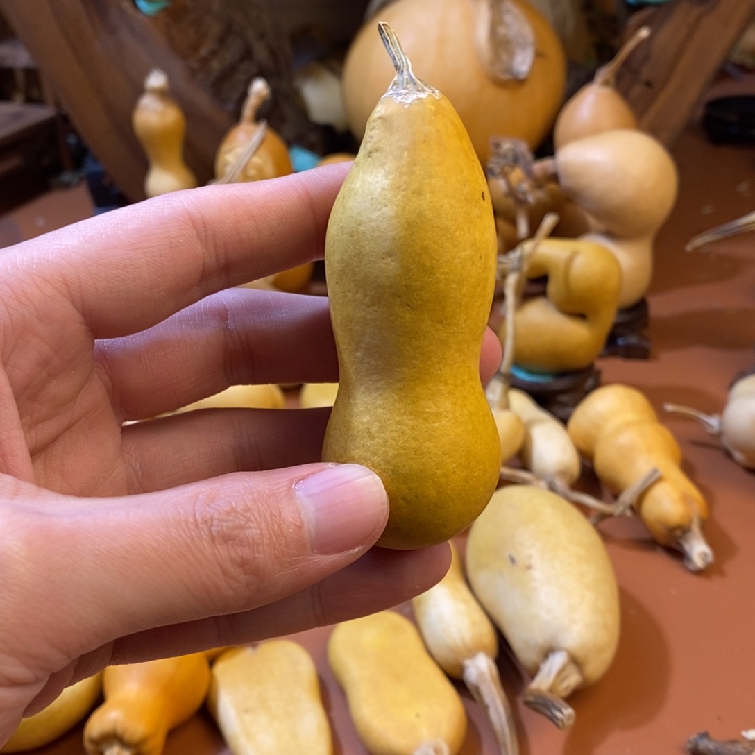 小***家教练教练咯教练经理