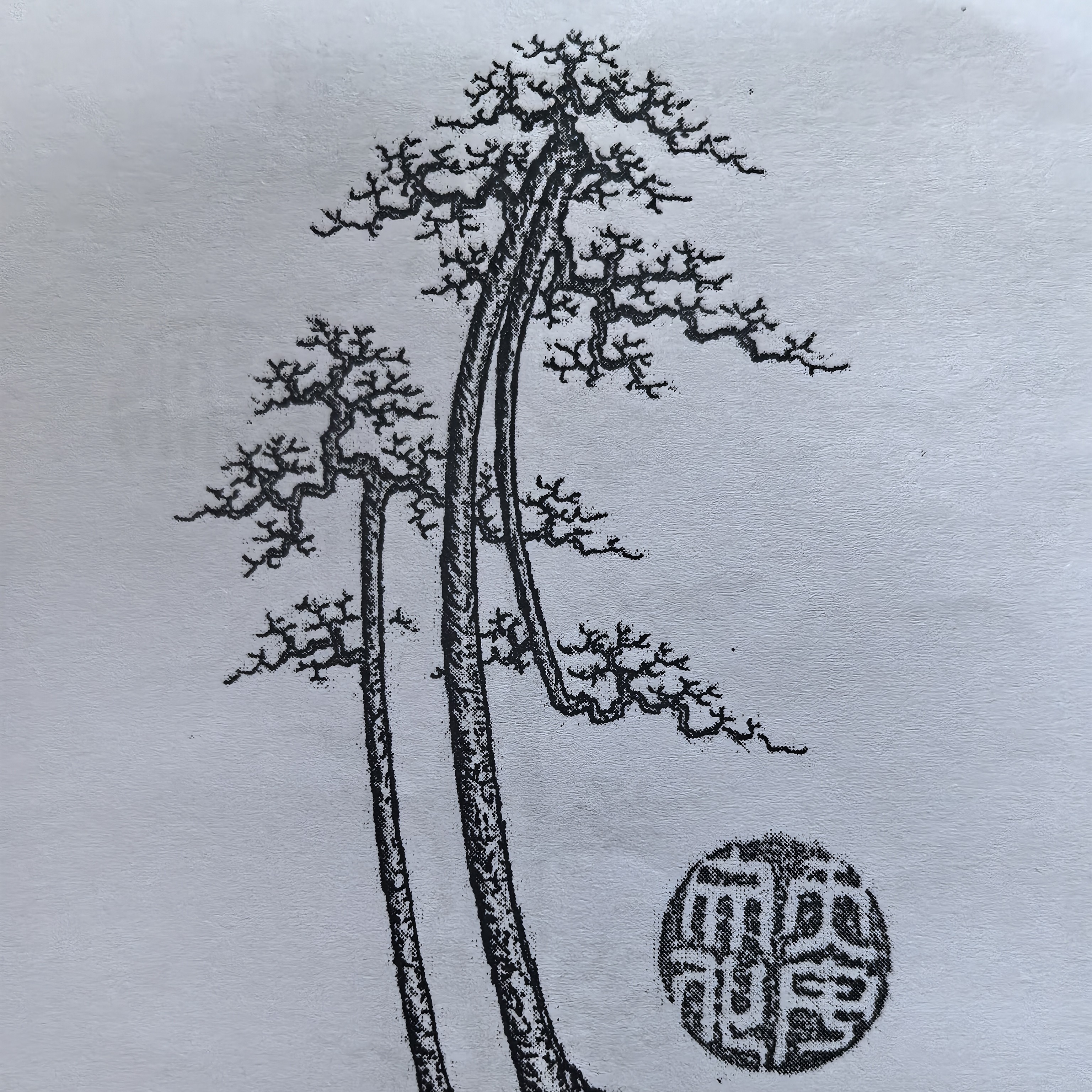 100-1500盆景-链接-请点击
