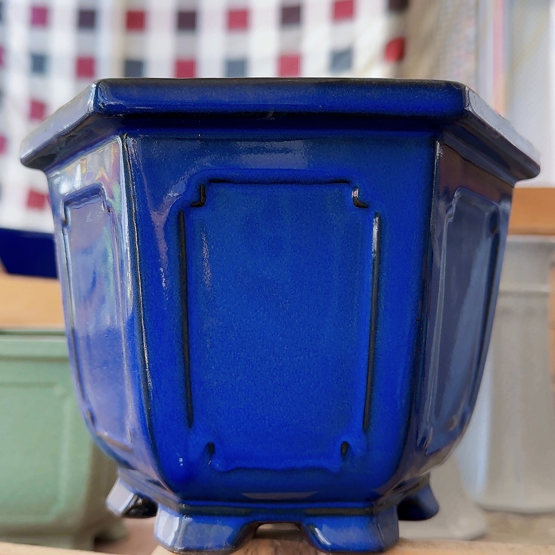 陶瓷花盆特价上新