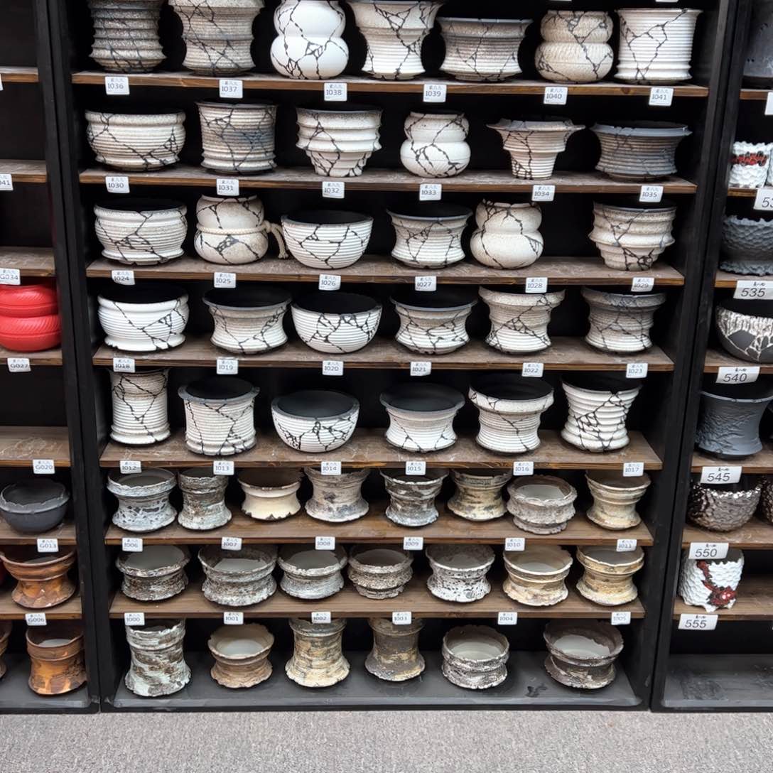 有喜欢的把编号打在公屏