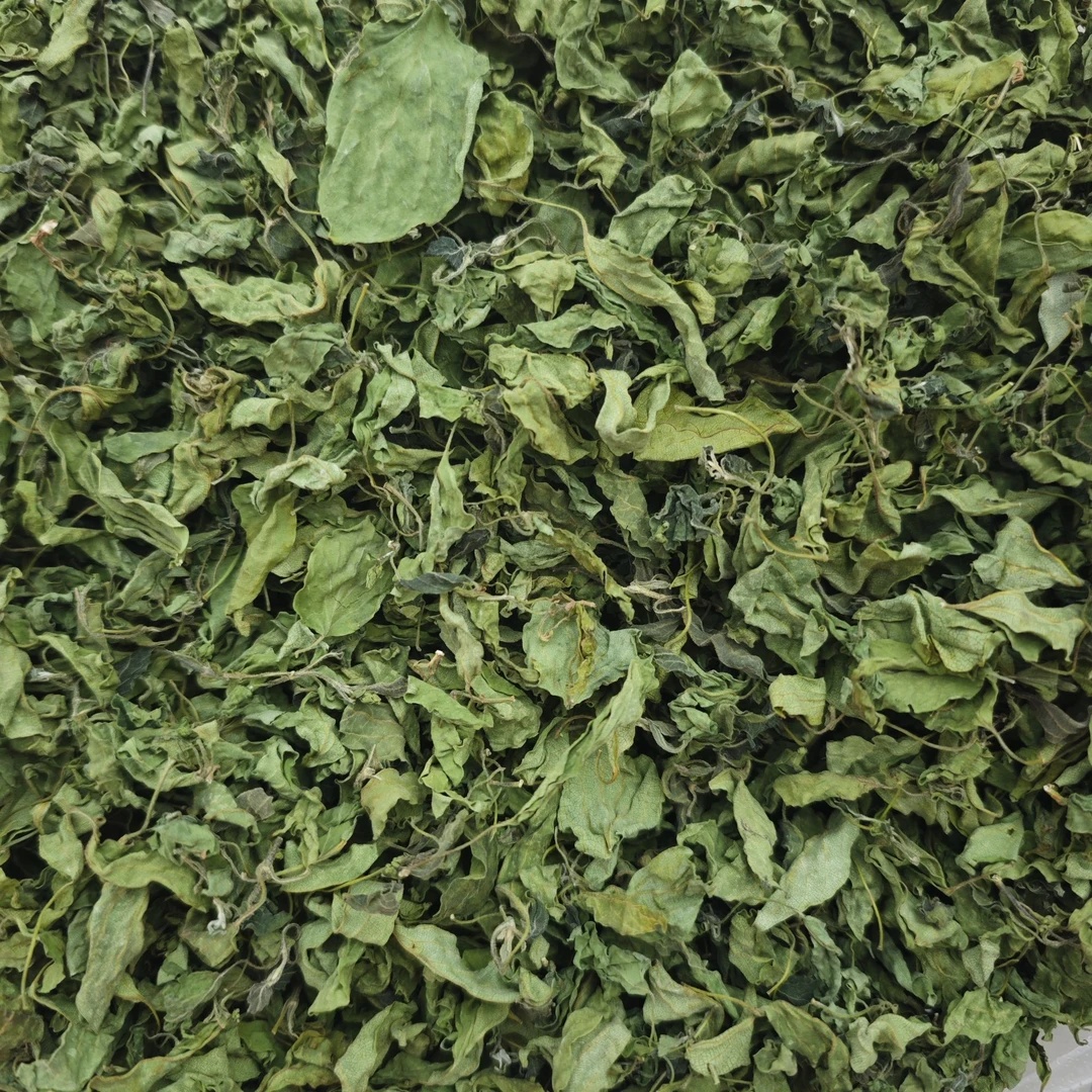 《秋田里》代卖农家手工采摘  自然生长  臭老婆香叶