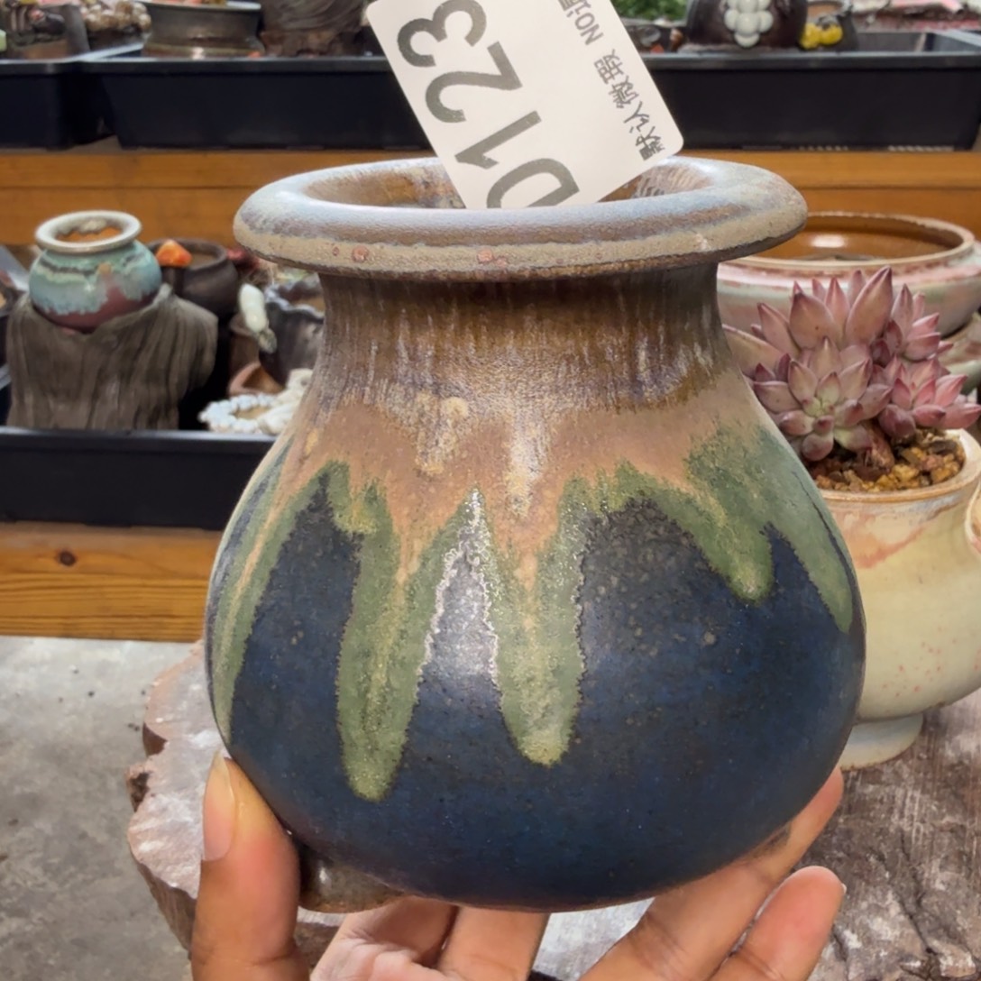 重庆小燕子欢迎大家123