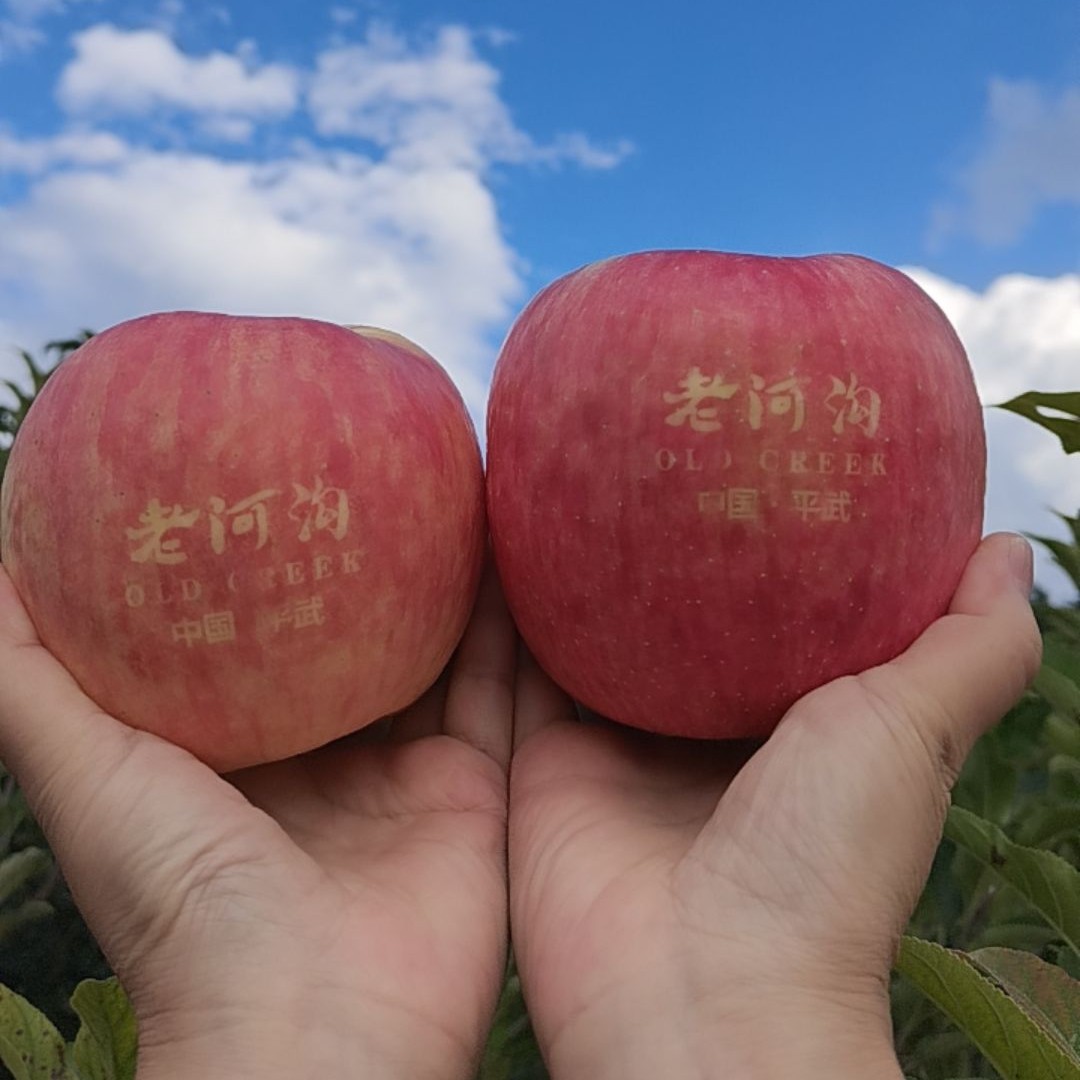 [绵阳川超特卖] 平武老河沟苹果礼盒装