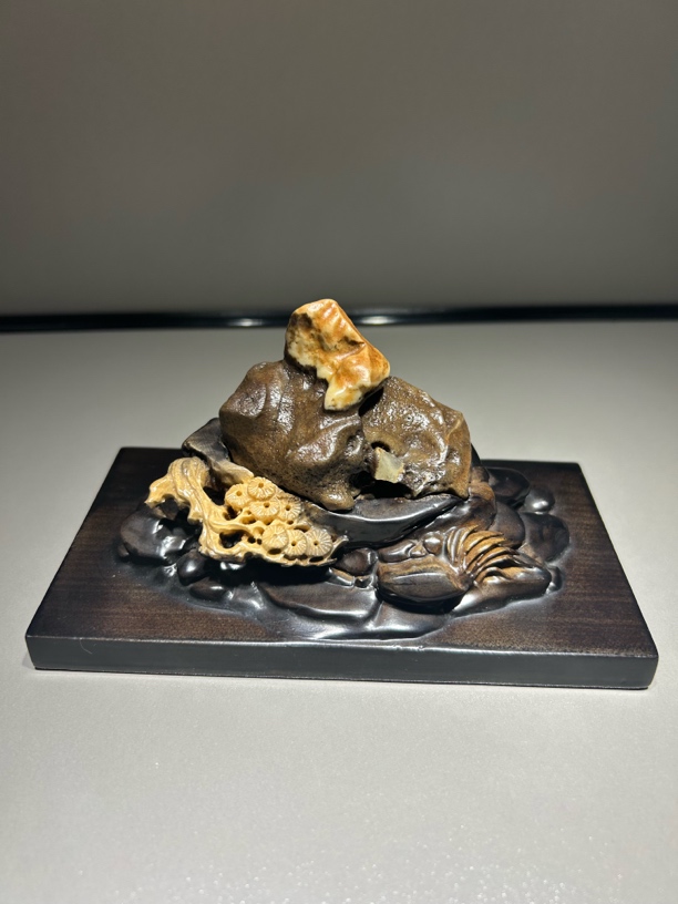 戈壁石俏色沙漠漆 卧山虎