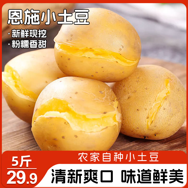 恩施黄心小土豆 软糯可口 新鲜现挖5斤/箱
