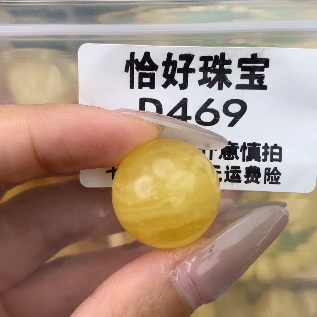 未镶嵌琥珀珠宝奇石21.3植物