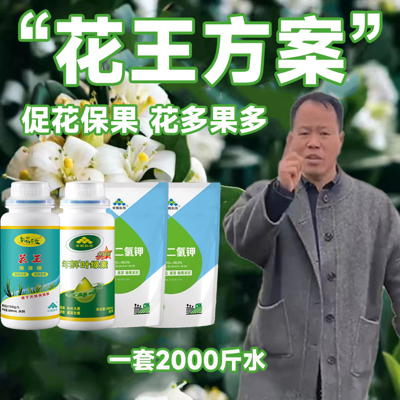 【熊猫哥哥推荐】花王方案 促花壮花 促花芽分化 花多果多 