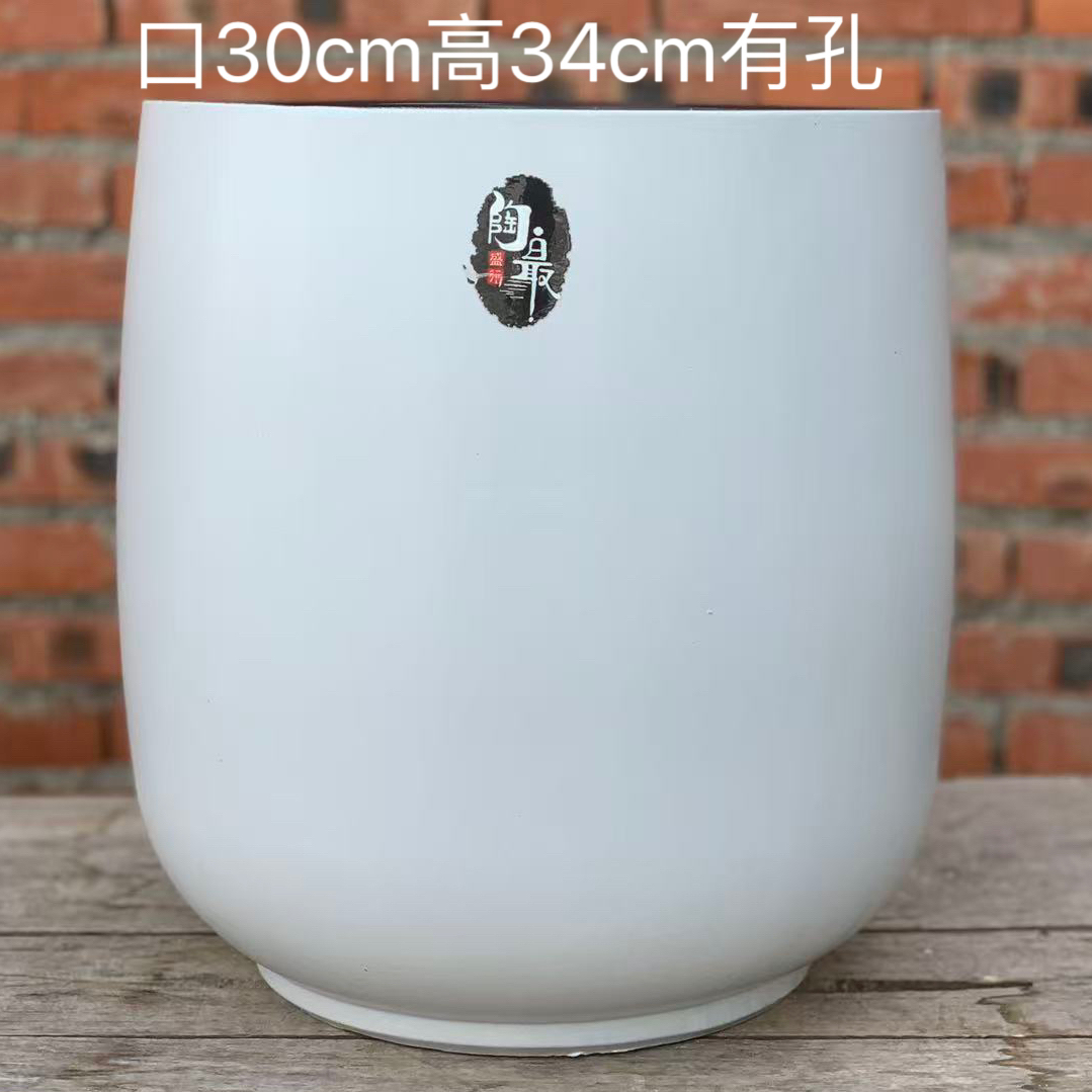 75粗陶透气浅色老桩多肉花盆