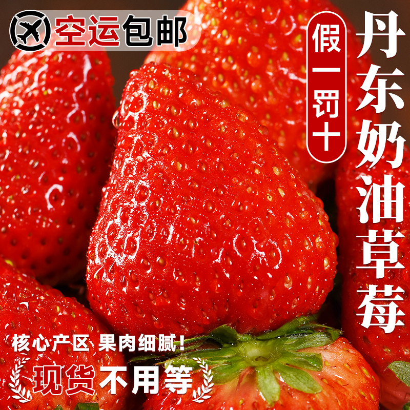 【空运包邮】丹东草莓99新鲜红颜东港牛奶奶油当季大草莓水果礼盒