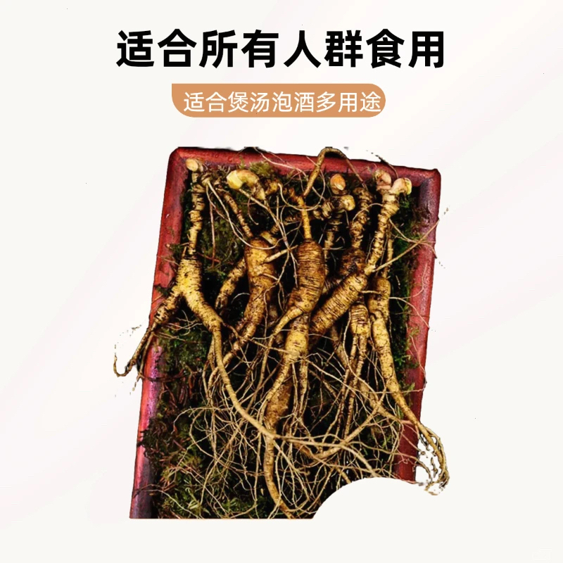 长白山脉林下参残参有红皮可用于泡酒煲汤