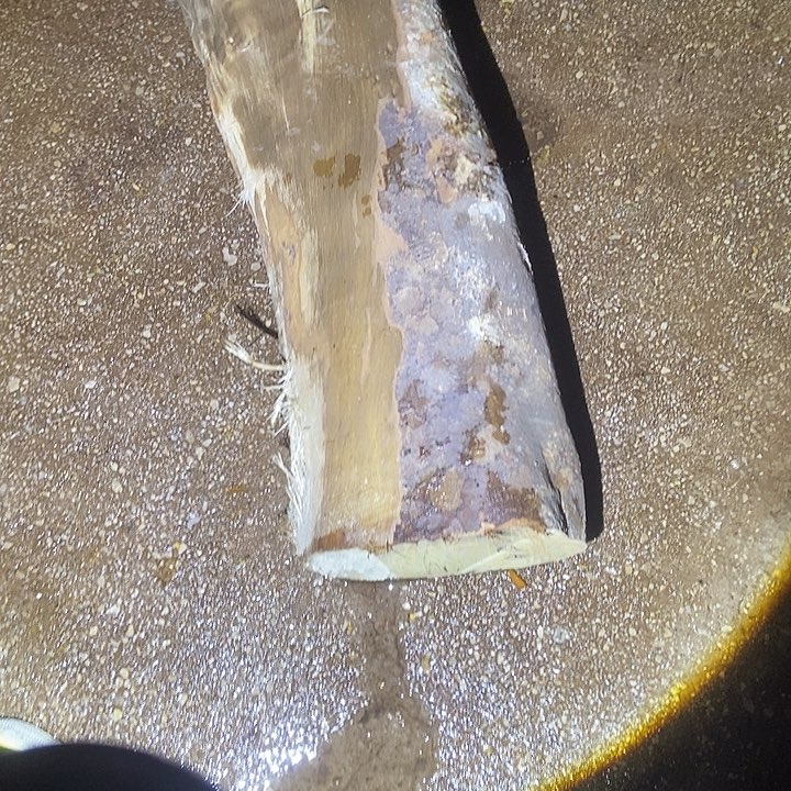 好****楠木（金丝楠）手串/手链