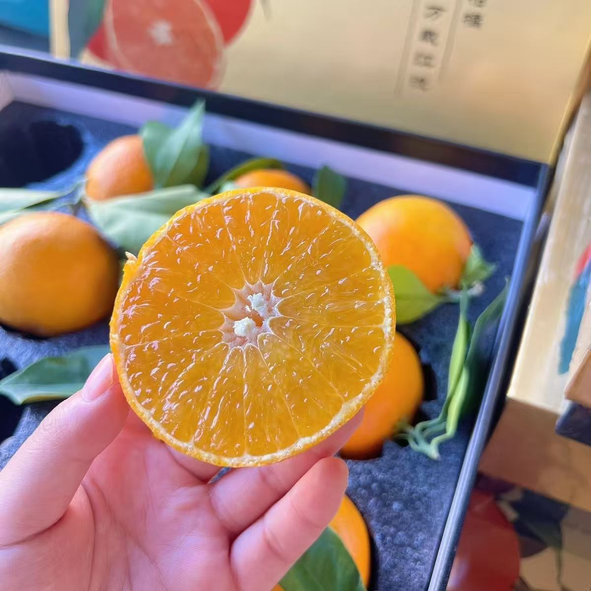 【亮哥专属】象山红美人柑橘当季柑橘宁波象山柑橘