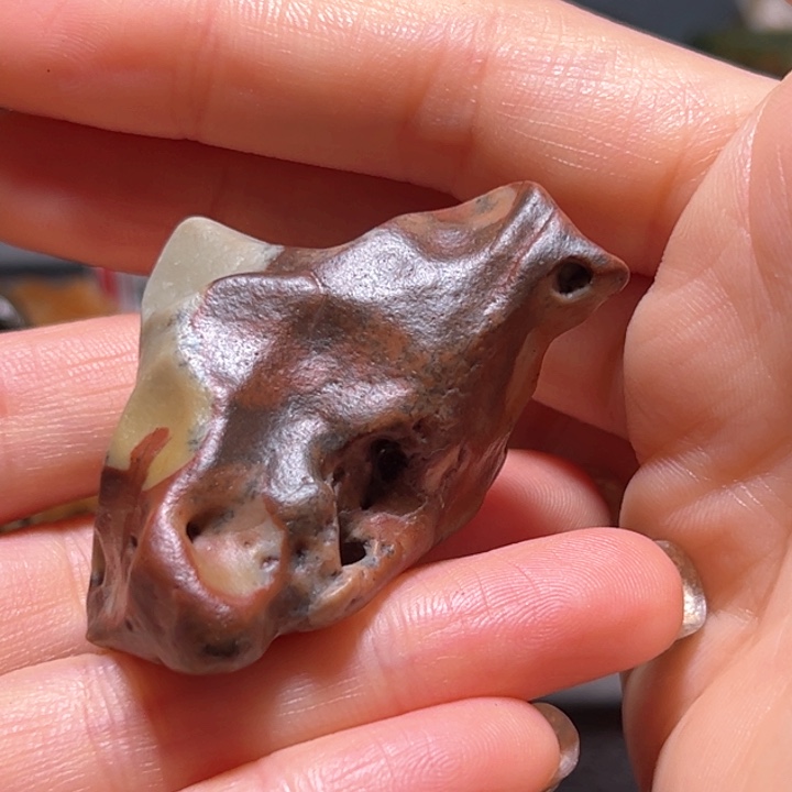 石材天然孔五堡重彩鸟