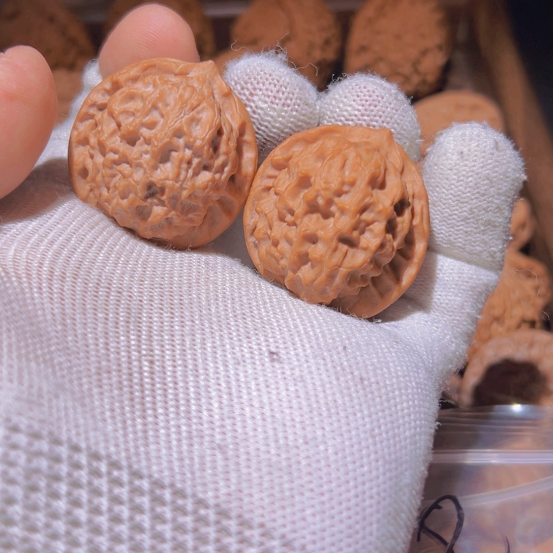 瑞麟文玩核桃山地无名野核 33.33.33