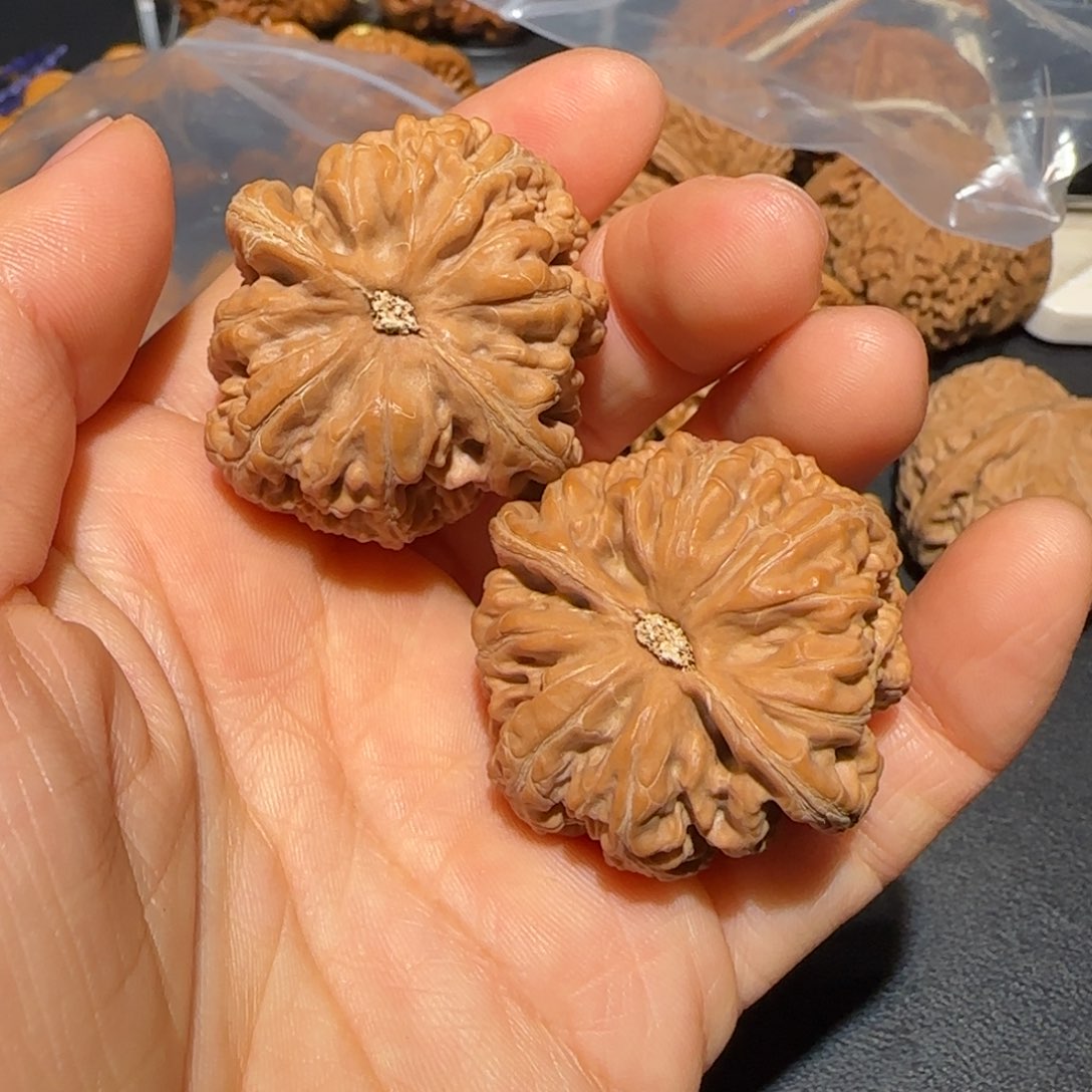 37粗筋飞飞飞飞飞飞飞飞