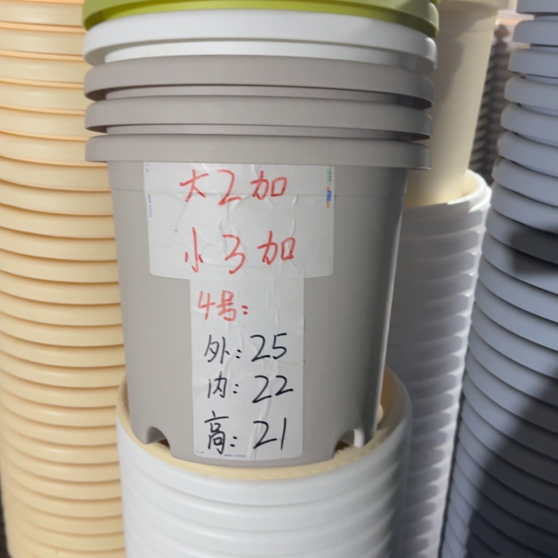 四季4#口径25无拖果绿8个
