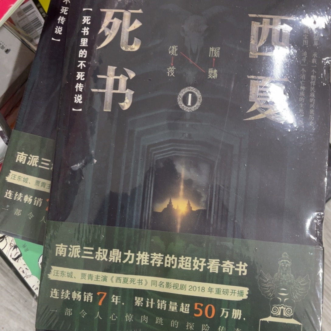 西夏死书简装一个