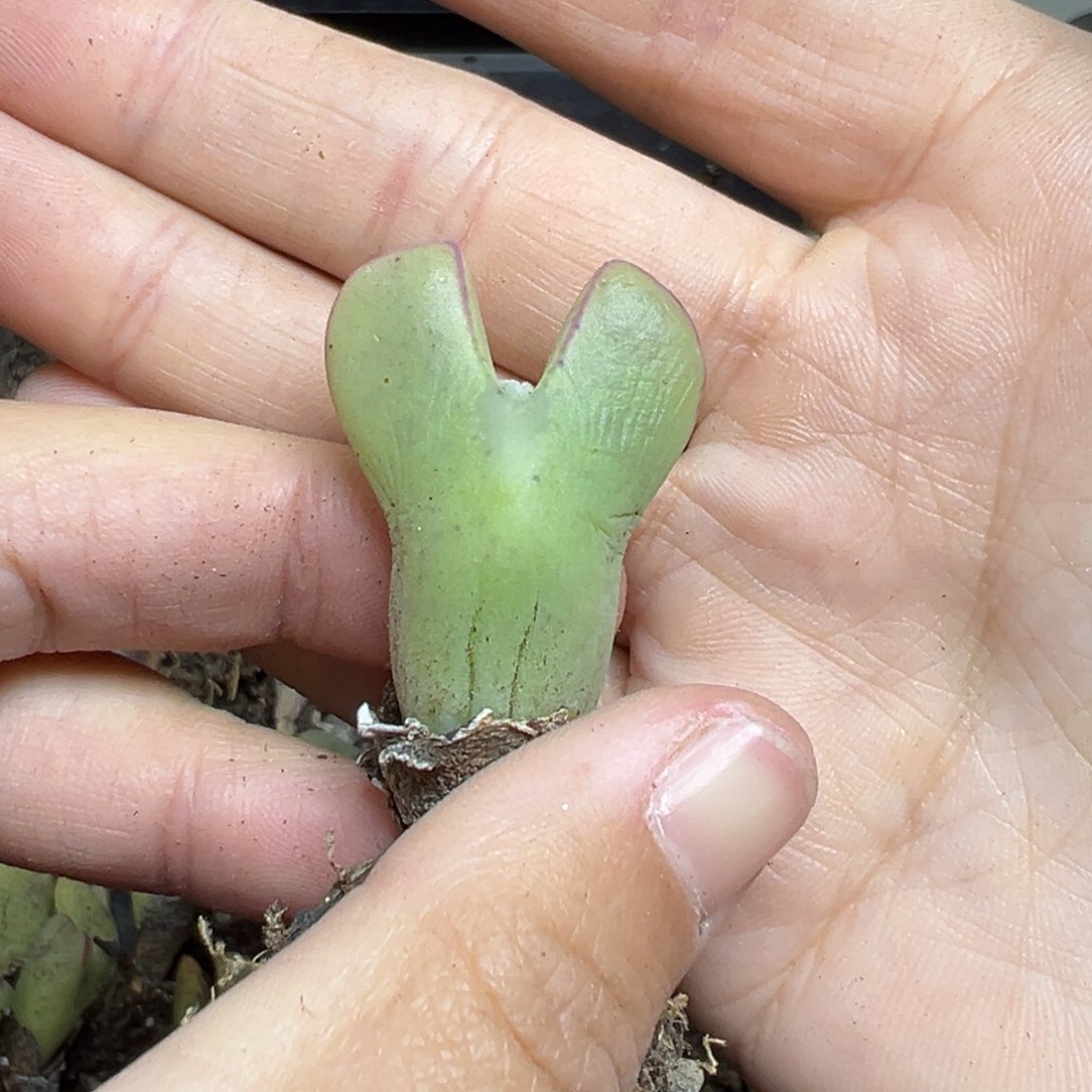 【闪购商品】579……