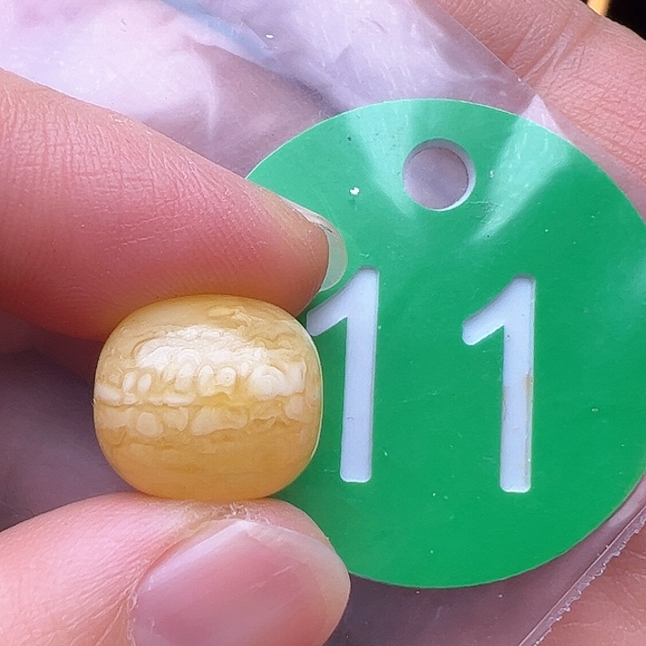 蜜蜡裸石未镶嵌12.5/13.7m m