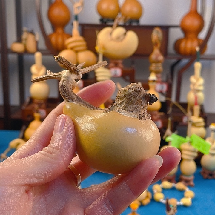 卍***卍哈哈哈哈哈哈哈哈哈哈哈哈哈哈