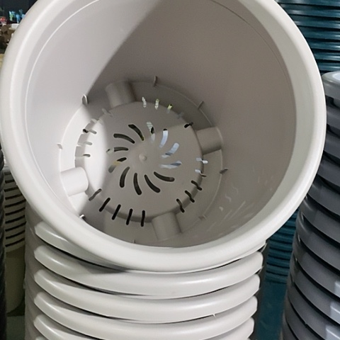 树脂四季9号灰白无托2个