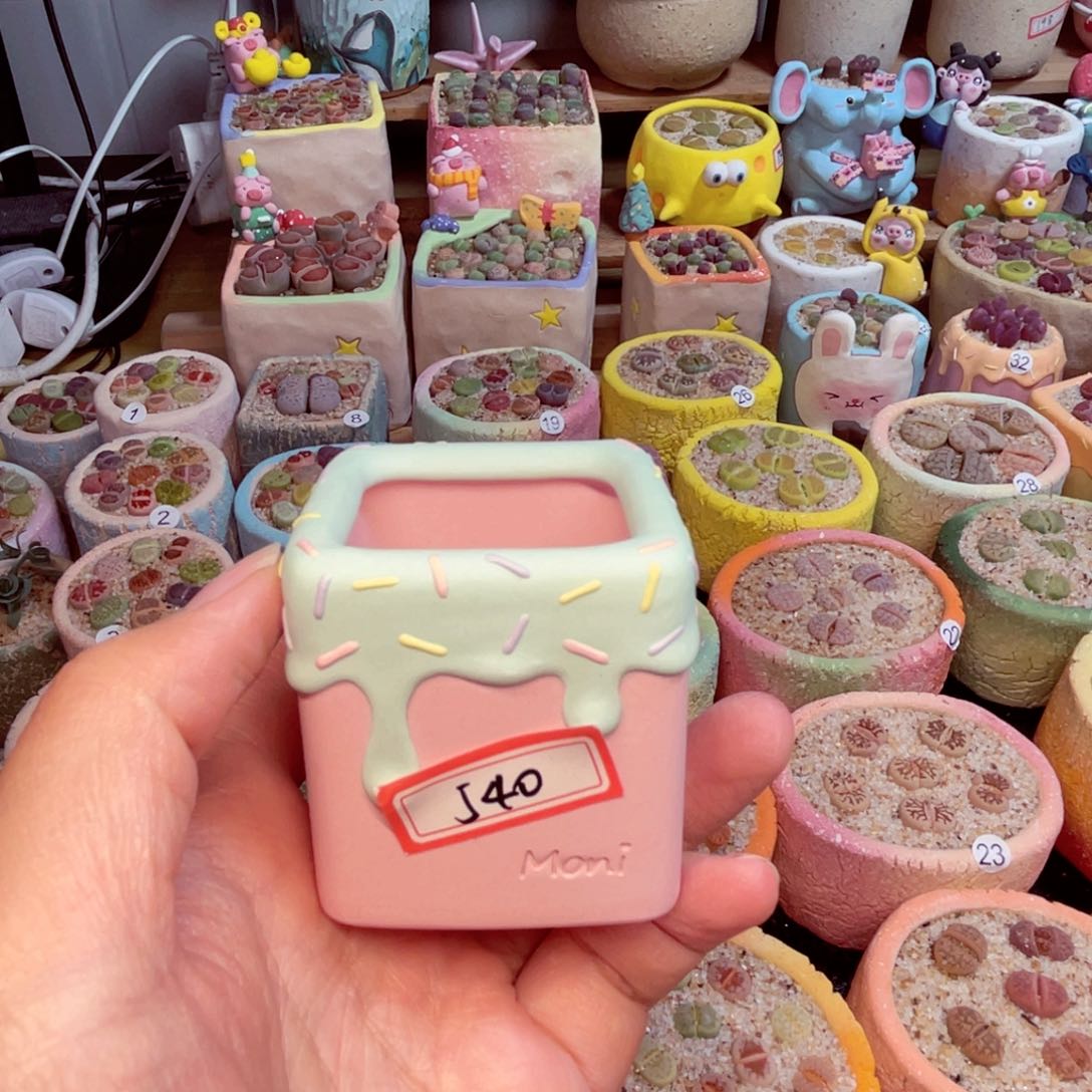 M****e540. 888888888888888