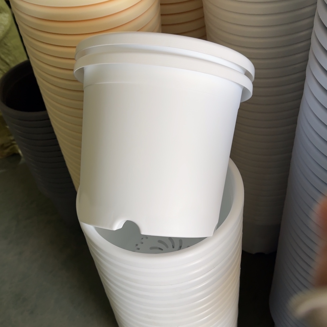 四季5#口径29白色10个无拖