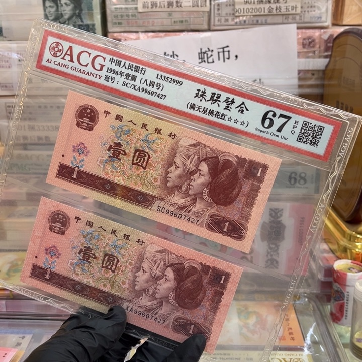 塑料67分961双胞胎一对99607427