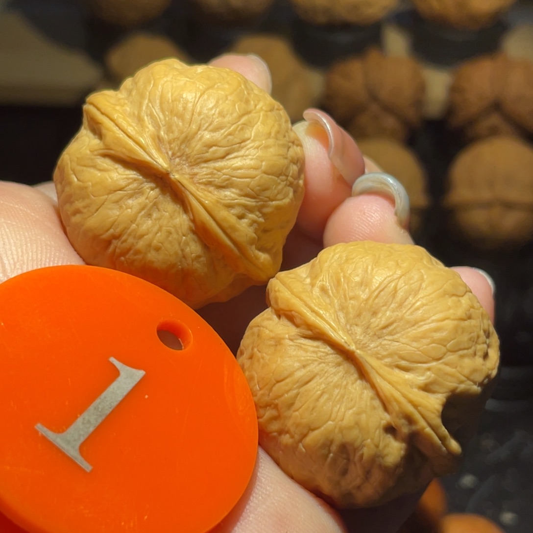 冰蟾33尺寸核桃。   