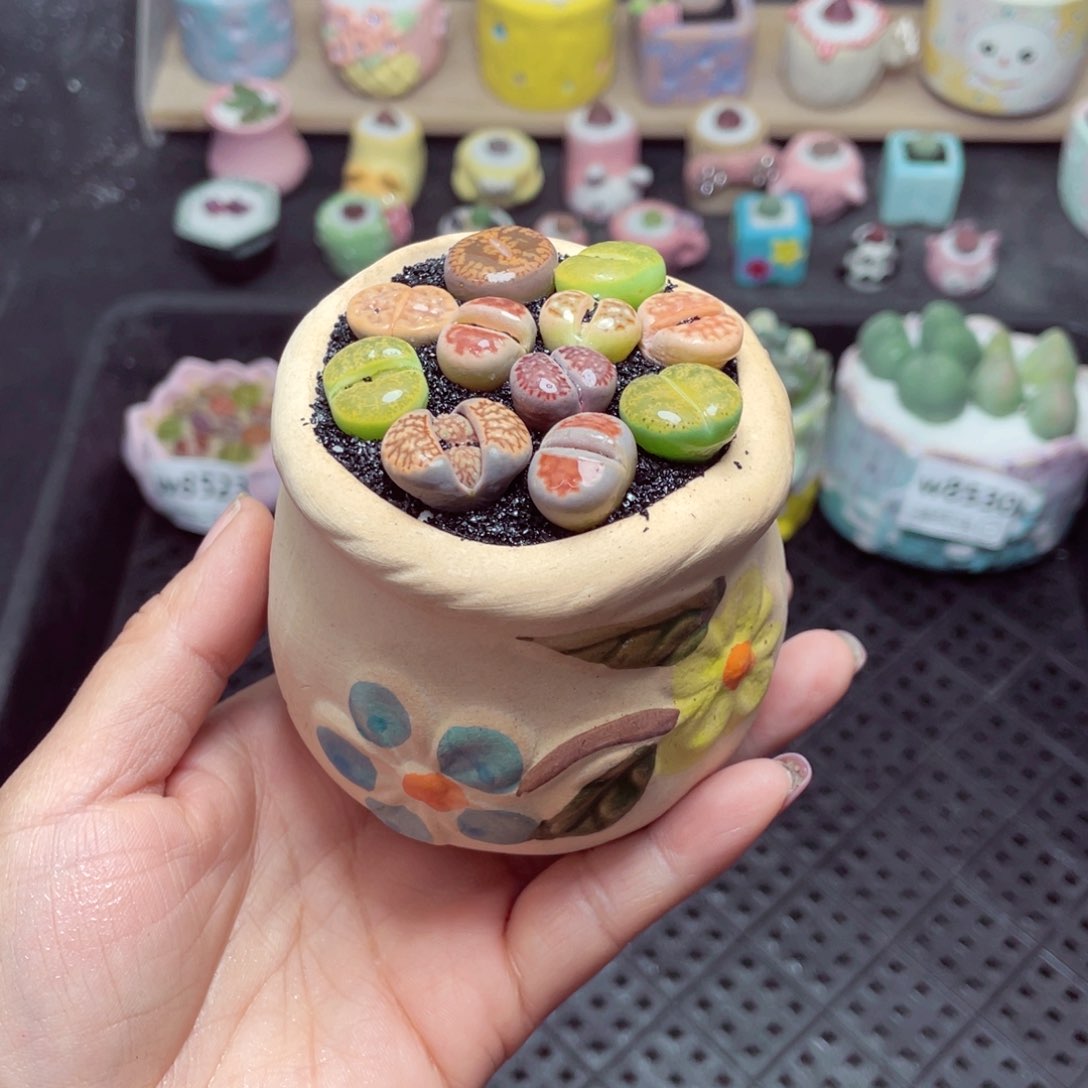 w8531 带盆土发货 -零下地区拍保温箱