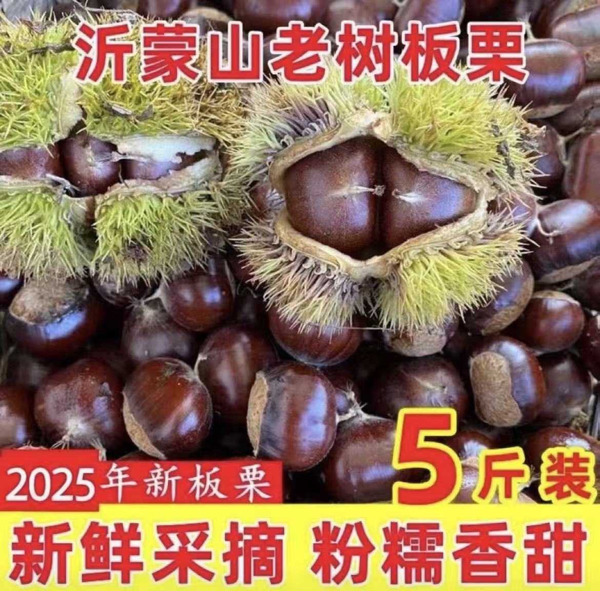 山东沂蒙山老树板栗软糯香甜净重5斤