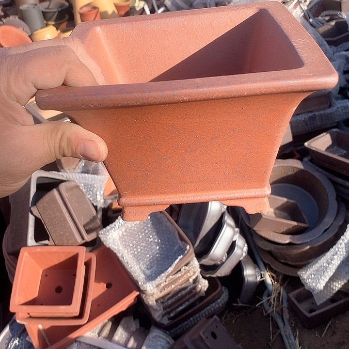 紫砂我要不去吃了两