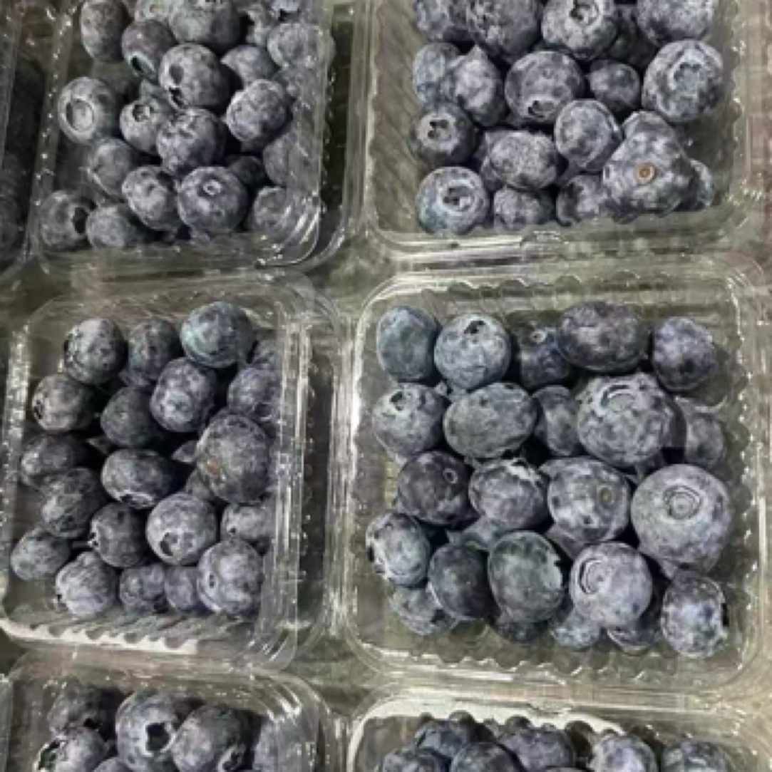 【念念家】蓝莓 1 盒125克［17mm~20mm云南省