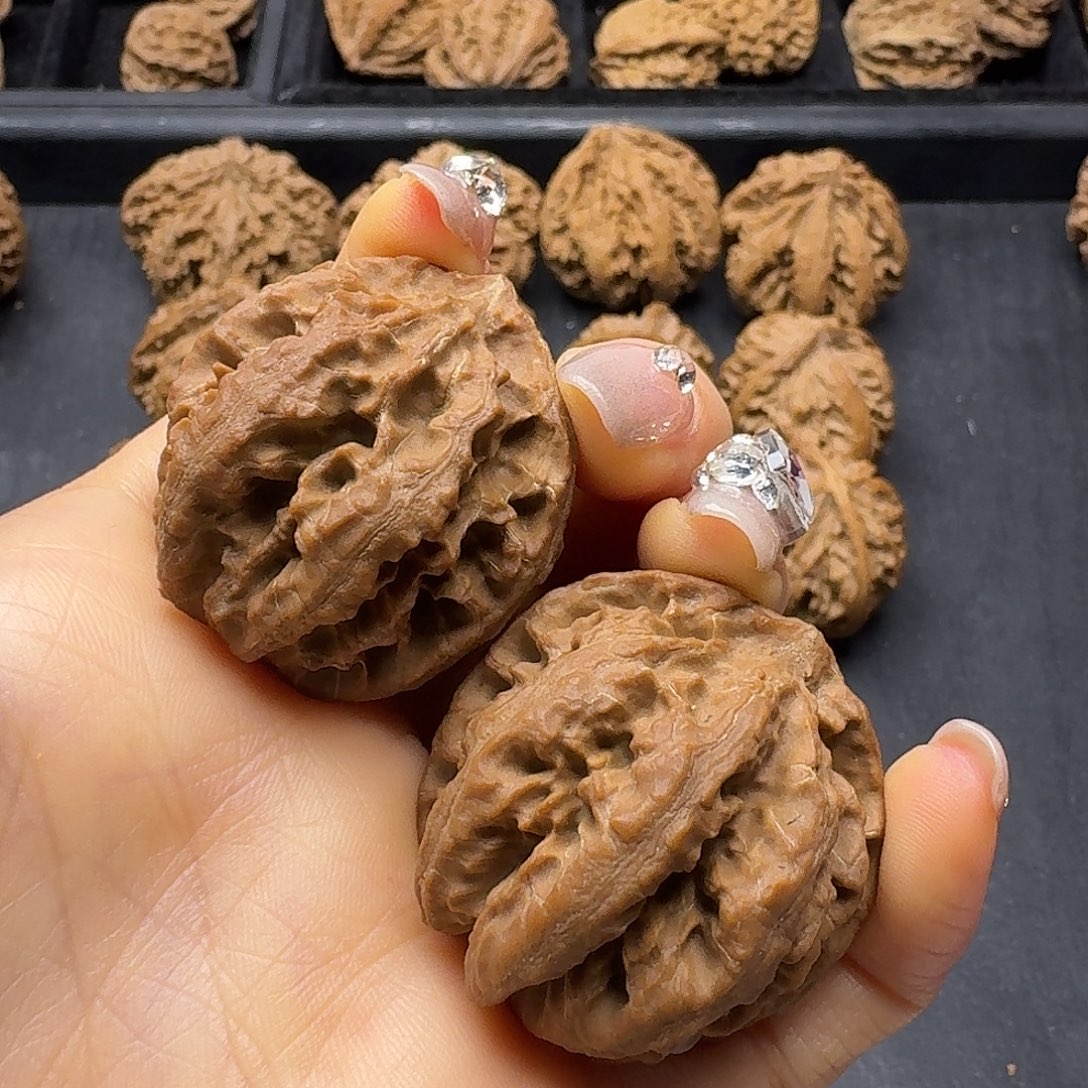 桃木突突突突突突突