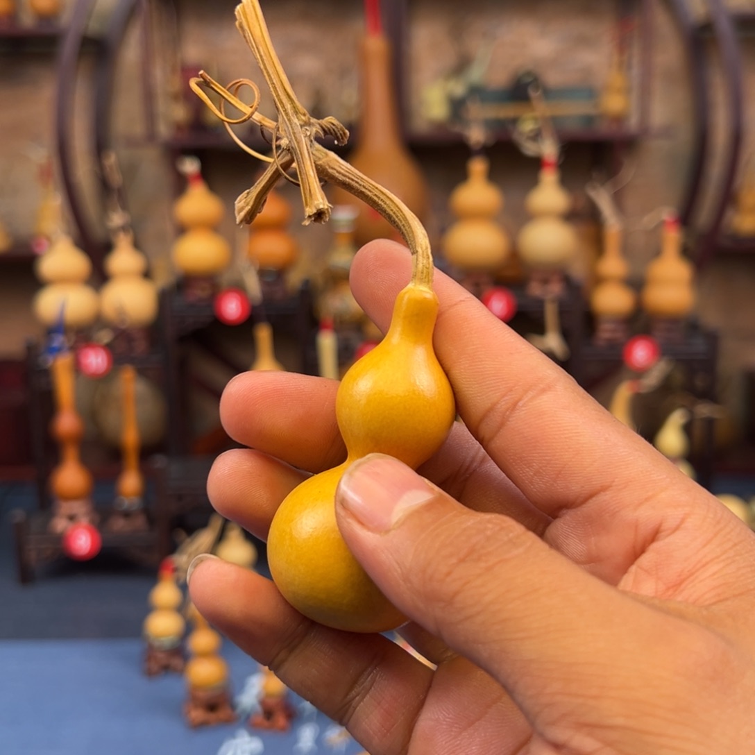 阿***6葫芦头的做法是用来