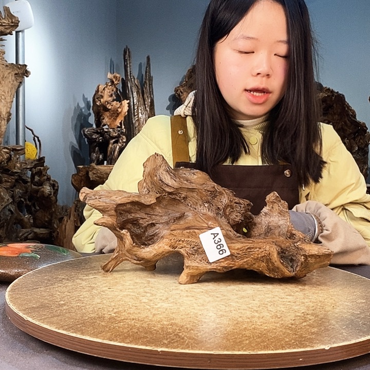 茶盏滴**。366株木随行的小根艺