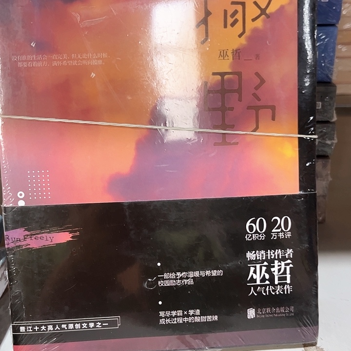 撒野一套三本新书推荐