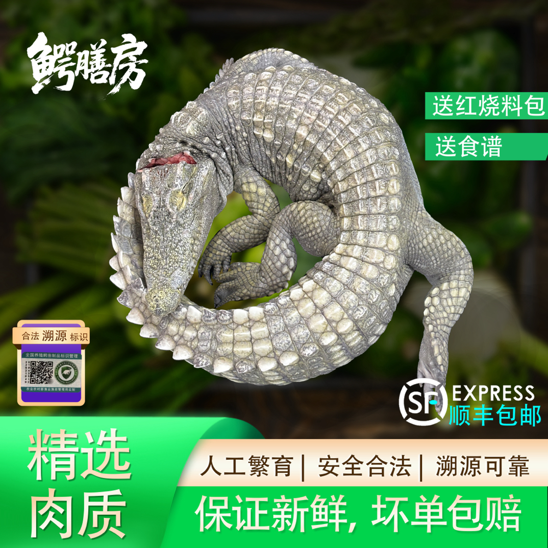 新鲜现杀整条鳄鱼 人工养殖带皮鳄鱼肉 