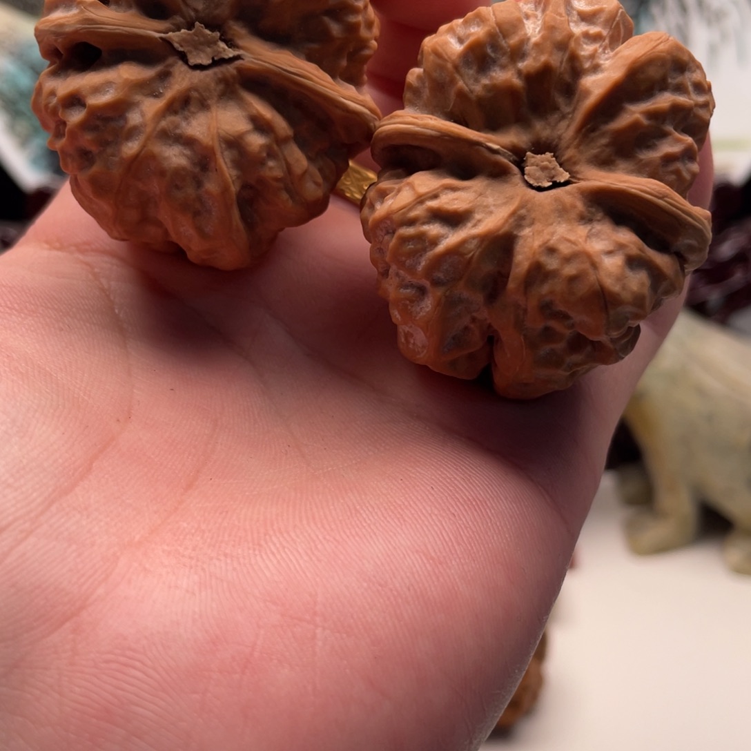 冰***啡核桃蛤蟆头文玩C13