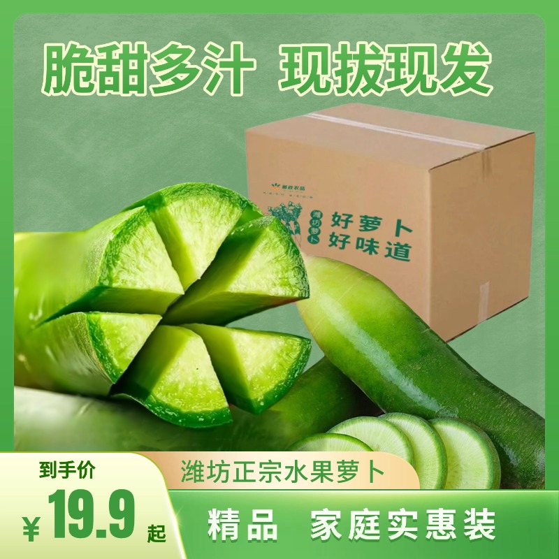 【现拔现发】正宗潍坊萝卜水果萝卜脆甜爆汁生吃潍坊特产保鲜发货