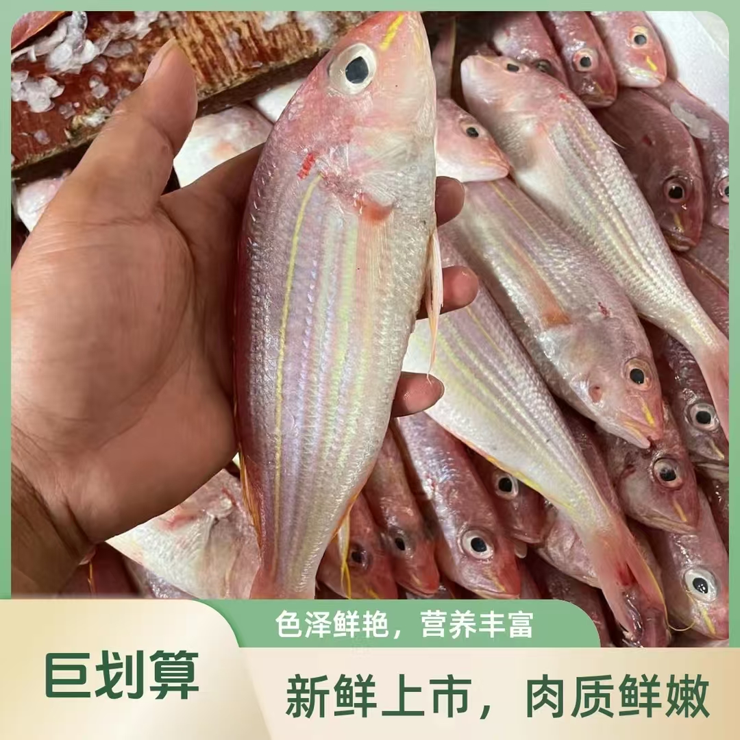 广东新鲜海捕金丝鱼【1斤4-6条，到手4斤】