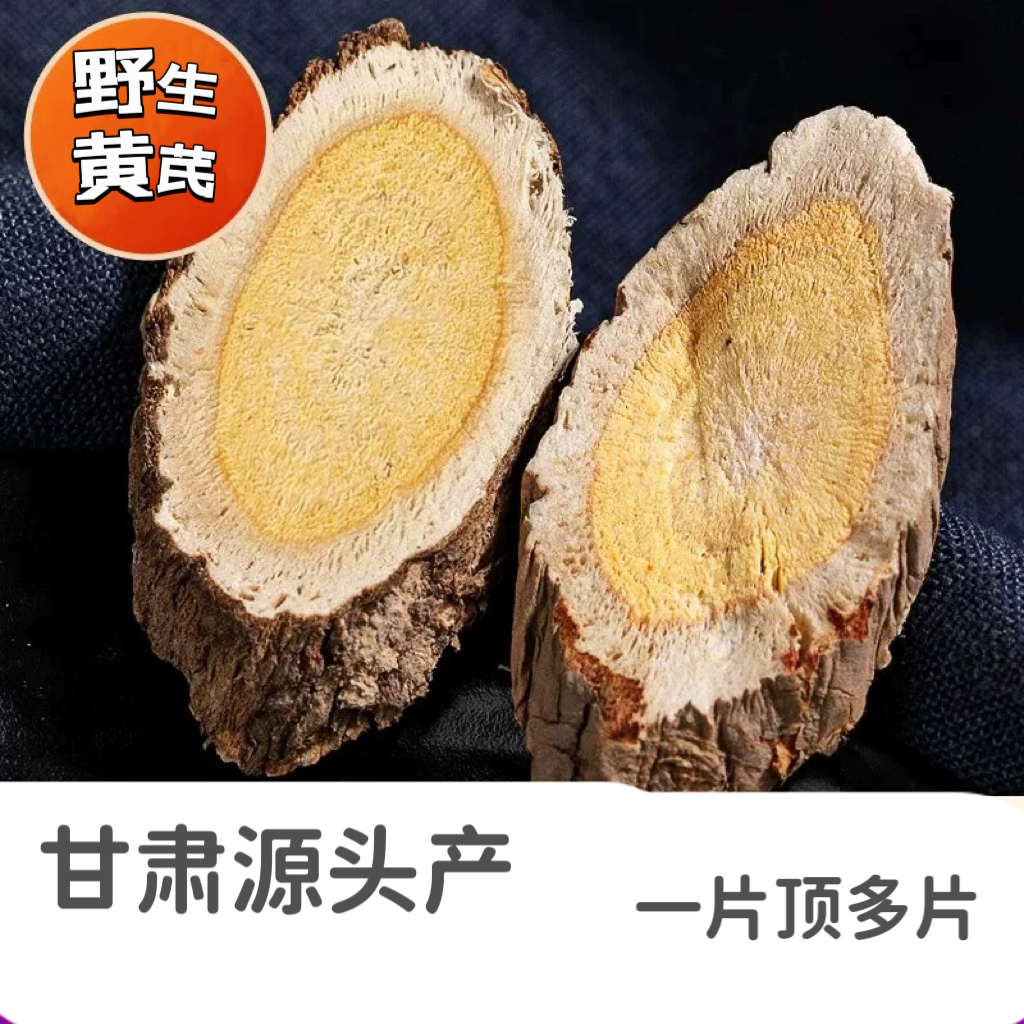 黄芪 野生大片甘肃的