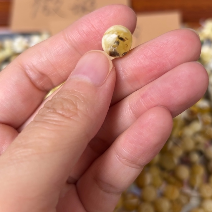蜜蜡未镶嵌裸石9.9mm一个