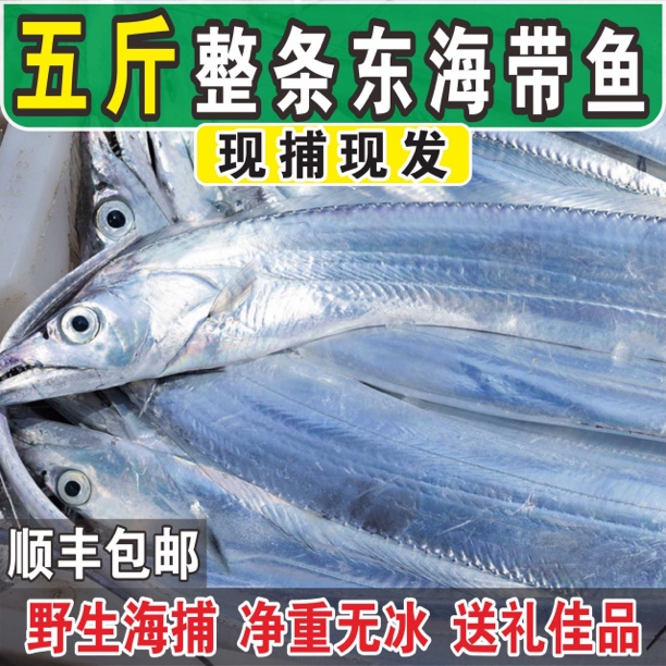 中号3斤送2斤 整条带鱼 1斤称3条左右 5斤约15条 净重无冰