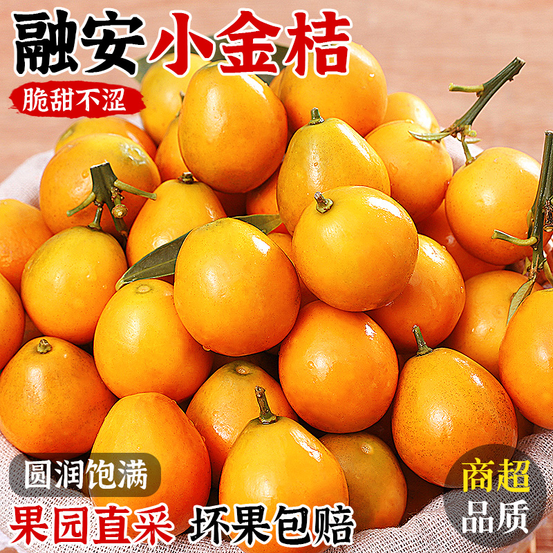 全爸农产品【脆皮金桔】广西桂林融安现摘新鲜脆皮金桔无酸金橘水果