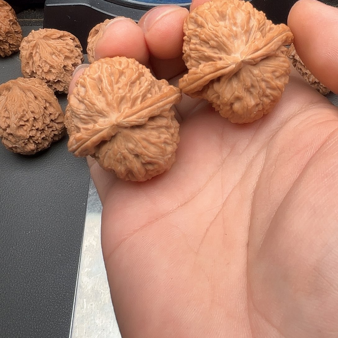 文玩核桃吊坠苟*贵白狮子