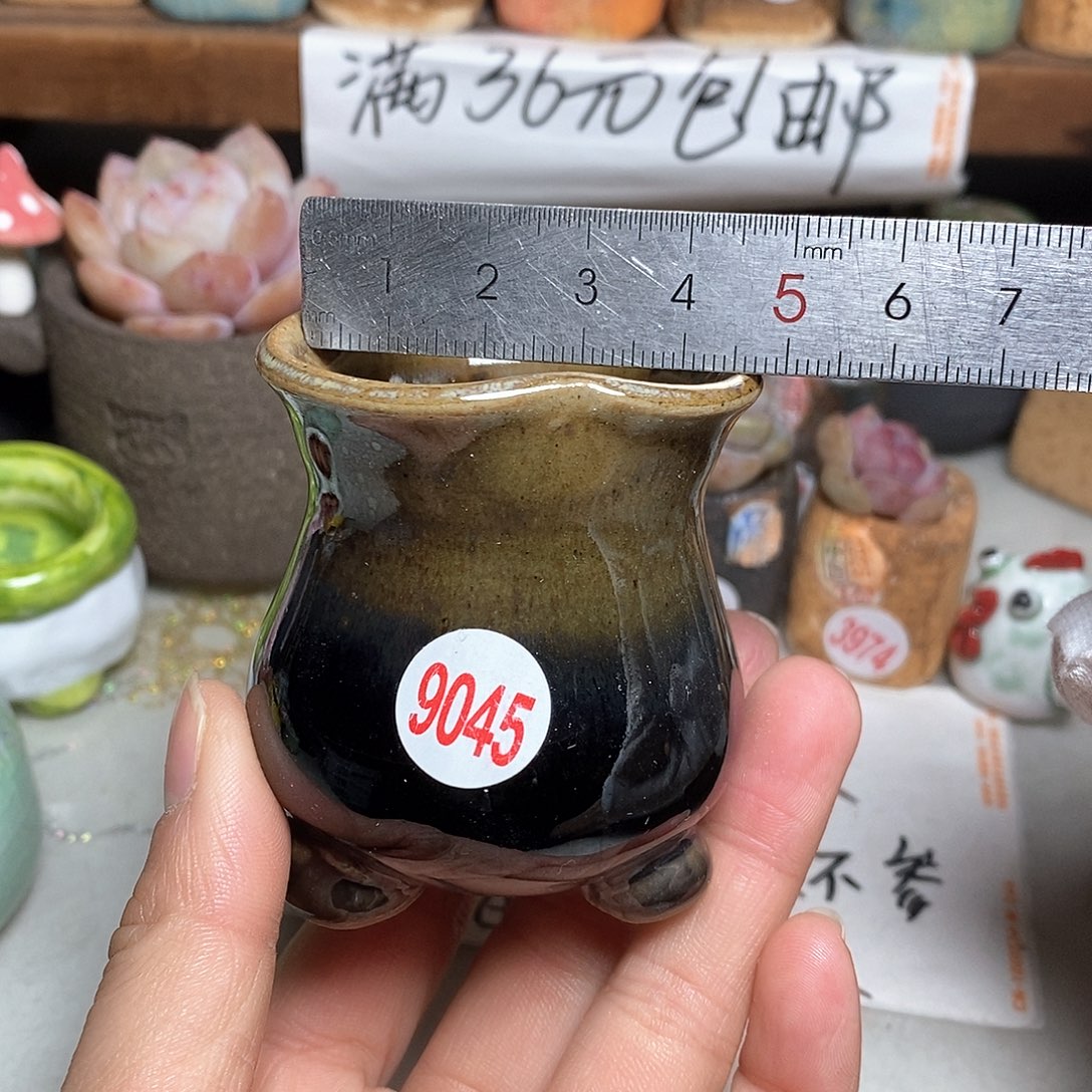 红陶拍5送一个小