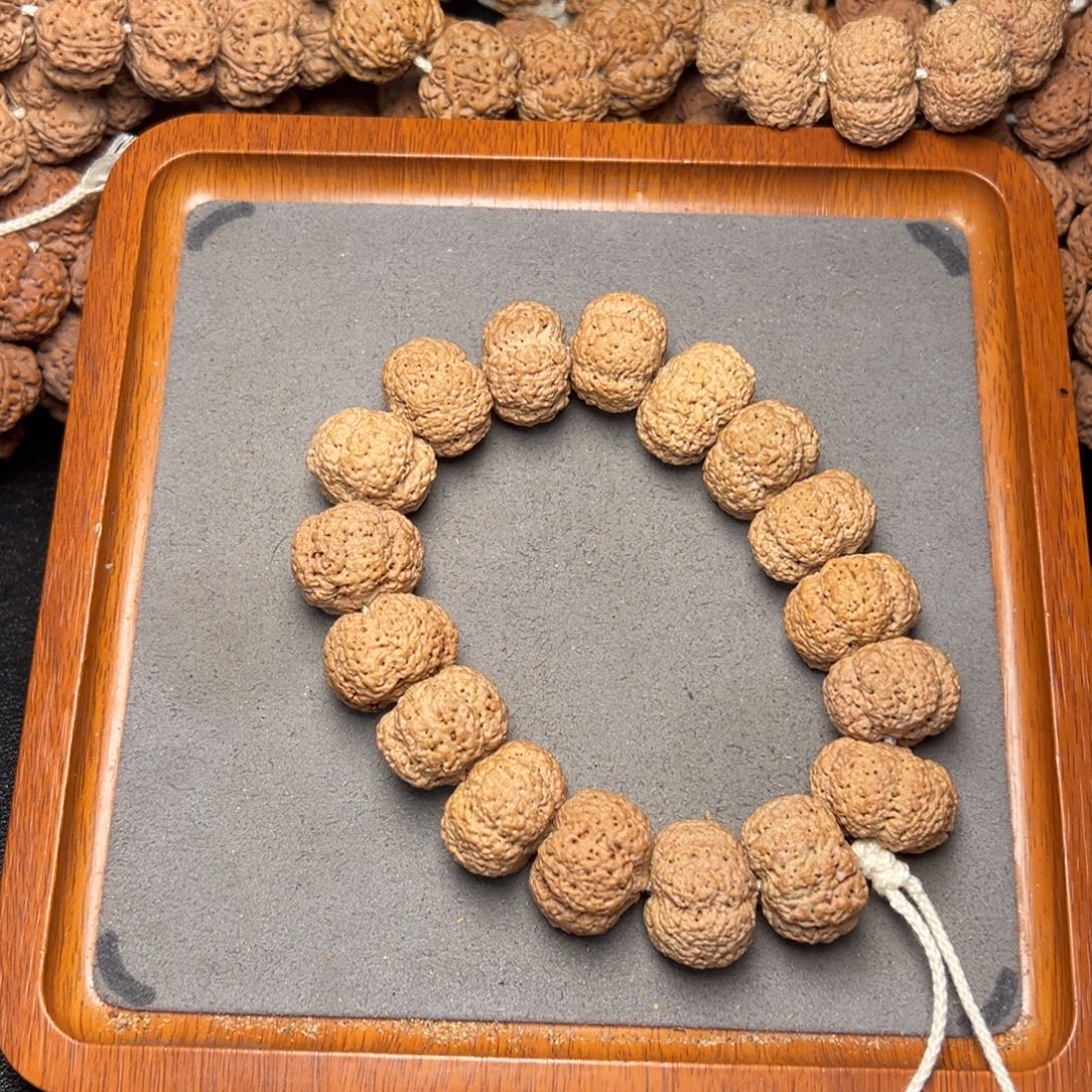 红***山菩提10号尼泊尔大金刚23五星熊猫夹板菠萝蜜