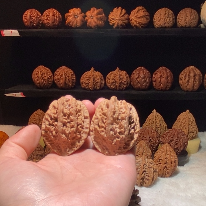 把件文玩核桃8号车